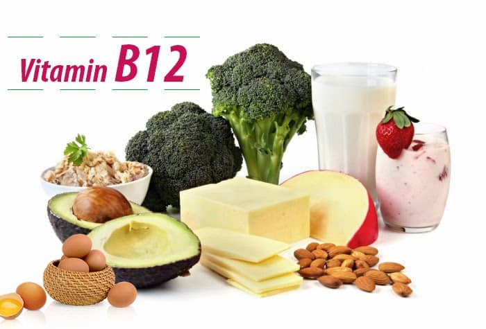 Vitamin B12 cần thiết cho việc chuyển năng lượng từ chất béo và protein, giúp cho sự hình thành, phát triển của các tế bào hồng cầu và cho sự tổng hợp DNA