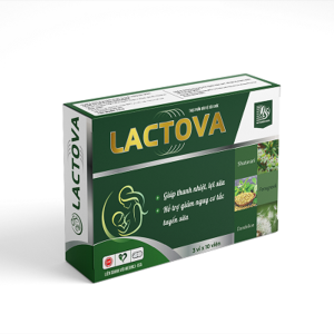 Viên uống lợi sữa Lactova hỗ trợ tăng tiết sữa thông tuyến sữa